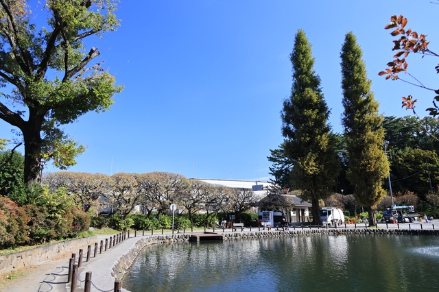 板橋区赤池公園の画像